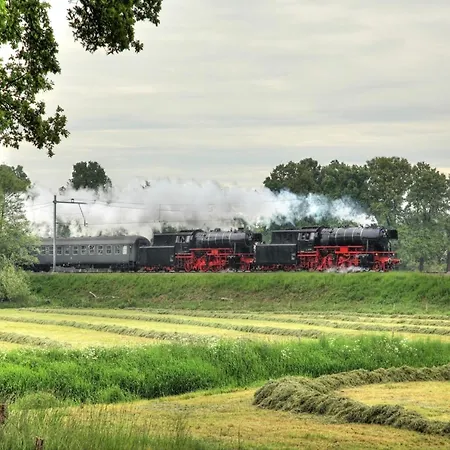 In Veluwe Near Hoge Veluwe Park *