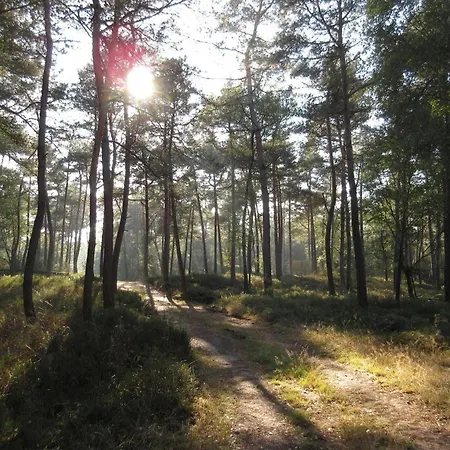 In Veluwe Near Hoge Veluwe Park Chalet *