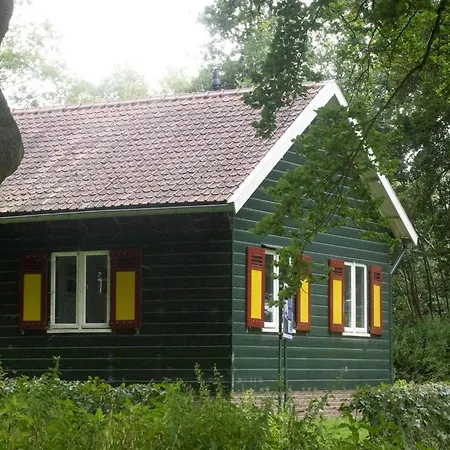 In Veluwe Near Hoge Veluwe Park * Beekbergen