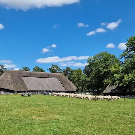 Luxurious Retreat In Veluwe Chalet *